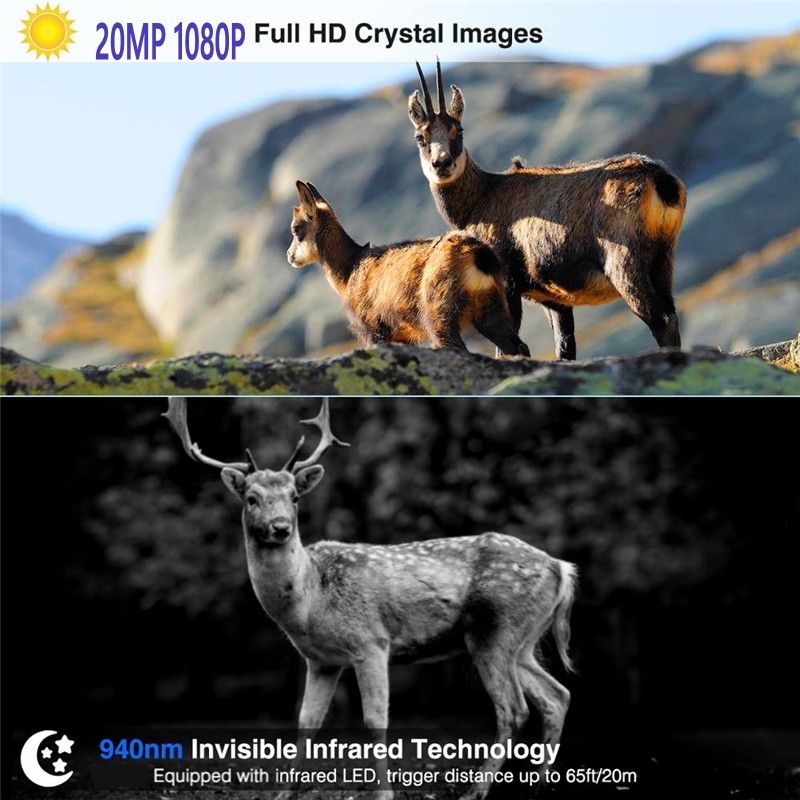 HC801M 2G MMS SMS SMTP Trail Wildkamera 20MP 1080P Nachtsicht-Mobilfunk-Jagdkameras