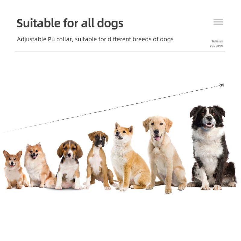 800 m Hundetrainingshalsband Hundetrainingsgerät IP7 Wasserdichtes Haustier-Fernbedienung Wiederaufladbares Hundehalsband
