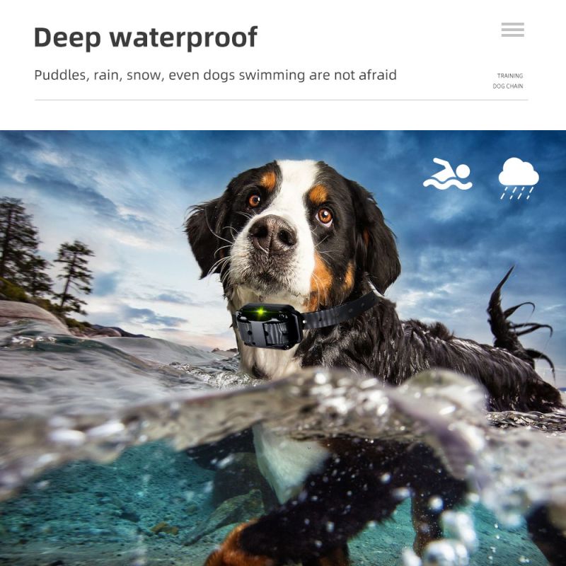 800 m Hundetrainingshalsband Hundetrainingsgerät IP7 Wasserdichtes Haustier-Fernbedienung Wiederaufladbares Hundehalsband