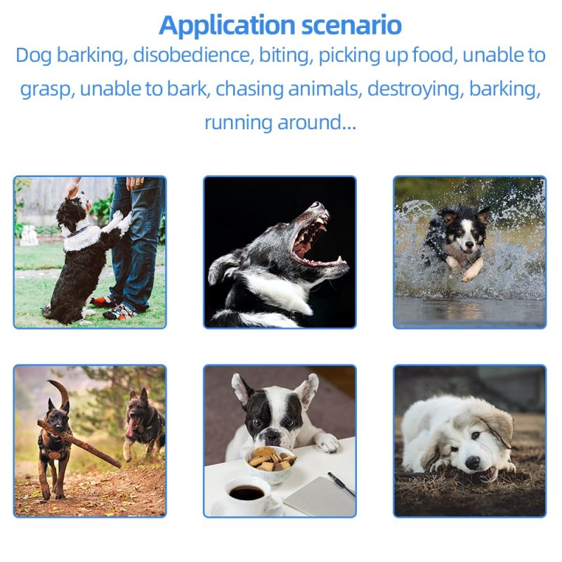 2021 Neue 500m Electric Hunde-Trainingskragen PET-Fernbedienung Wasserdicht wiederaufladbar mit LCD-Anzeige für alle Größenschlag-Schwingungsklang