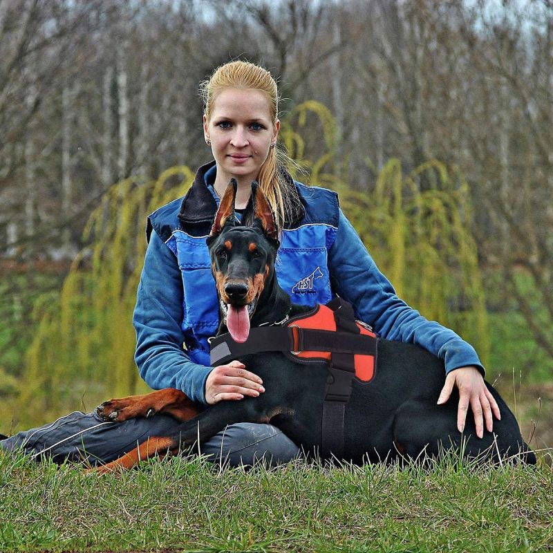 Hundegurt, No-Pull-reflektierende atmungsaktive verstellbare Haustierweste mit Griff für das Gehen im Freien