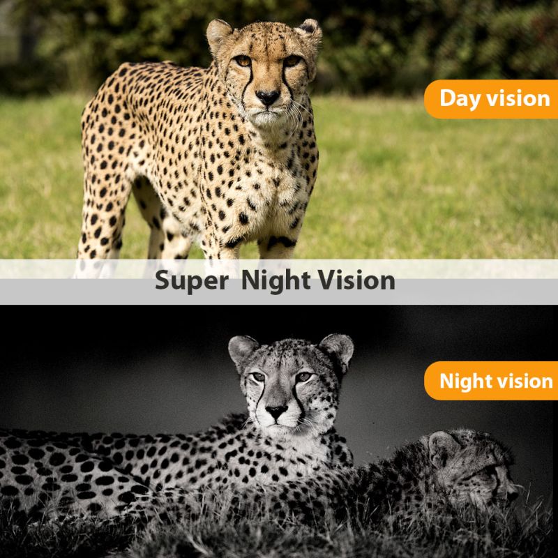 HC801M 2G MMS SMS SMTP Trail Wildkamera 20MP 1080P Nachtsicht-Mobilfunk-Jagdkameras