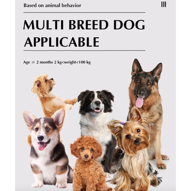 Drahtloses elektronisches Hundezaunsystem und ferngesteuertes Trainingshalsband, Piepton, Stoßvibration und Eindämmung von Haustieren für Welpen aller Größen