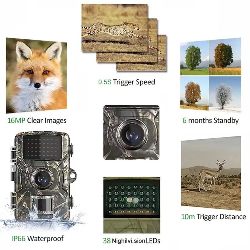 Jagd Trail Kamera 940nm Infrarot Nachtsicht Bewegung Aktiviert Trigger Sicherheit Cam Outdoor Wildlife Foto