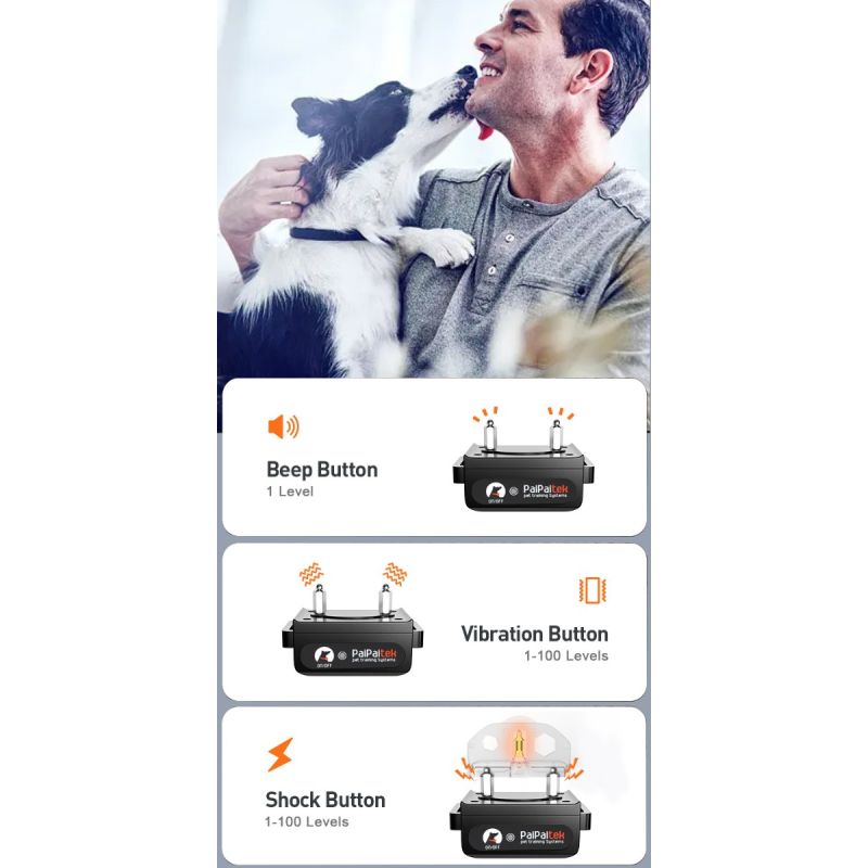 1000m Elektrische Hund Ausbildung Kragen Fernbedienung Ausbildung Kragen Für Haustier Wiederaufladbare Hund Antibell Stoppen Schock Kragen