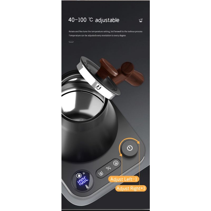 Elektrischer Schwanenhals-Wasserkocher, Echtzeit-Temperaturregelung, Warmwasserboiler