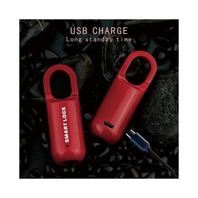 Mini-Fingerabdruck-Vorhängeschloss, USB-schlüsselloses Gepäckschloss, elektronisches Schloss, intelligentes biometrisches Fingerabdruck-Türschloss, schnelles Entsperren für unterwegs