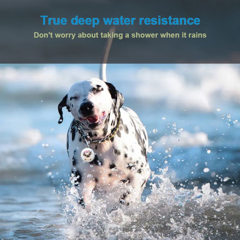 GPS Smart Waterproof Pet Locator Universelles wasserdichtes GPS-Ortungshalsband für Katzen und Hunde, die den Tracker orten