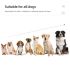 800 m Hundetrainingshalsband Hundetrainingsgerät IP7 Wasserdichtes Haustier-Fernbedienung Wiederaufladbares Hundehalsband