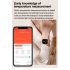 ET570 Blutzucker-Smartwatch, EKG-Herzfrequenz-Blutdruck-Smartwatch