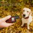 Neue Hundetrainingskragen Wiederaufladbare Wasserdichte Fernbedienung Elektrische Hundeschockkragen mit Vibration Piepton Training Hund Kragen Elektronisch