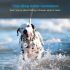 GPS Smart Waterproof Pet Locator Universelles wasserdichtes GPS-Ortungshalsband für Katzen und Hunde, die den Tracker orten