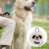 Hundetracker-Airtag Hundehalsband-Android Airtag-GPS-Tracker für Hunde-Haustier-Tracker