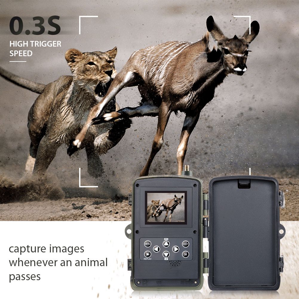 HC801M Wildkamera 20MP 1080P Nachtsicht perfekt für Wildtierfotografie und Tierverfolgung