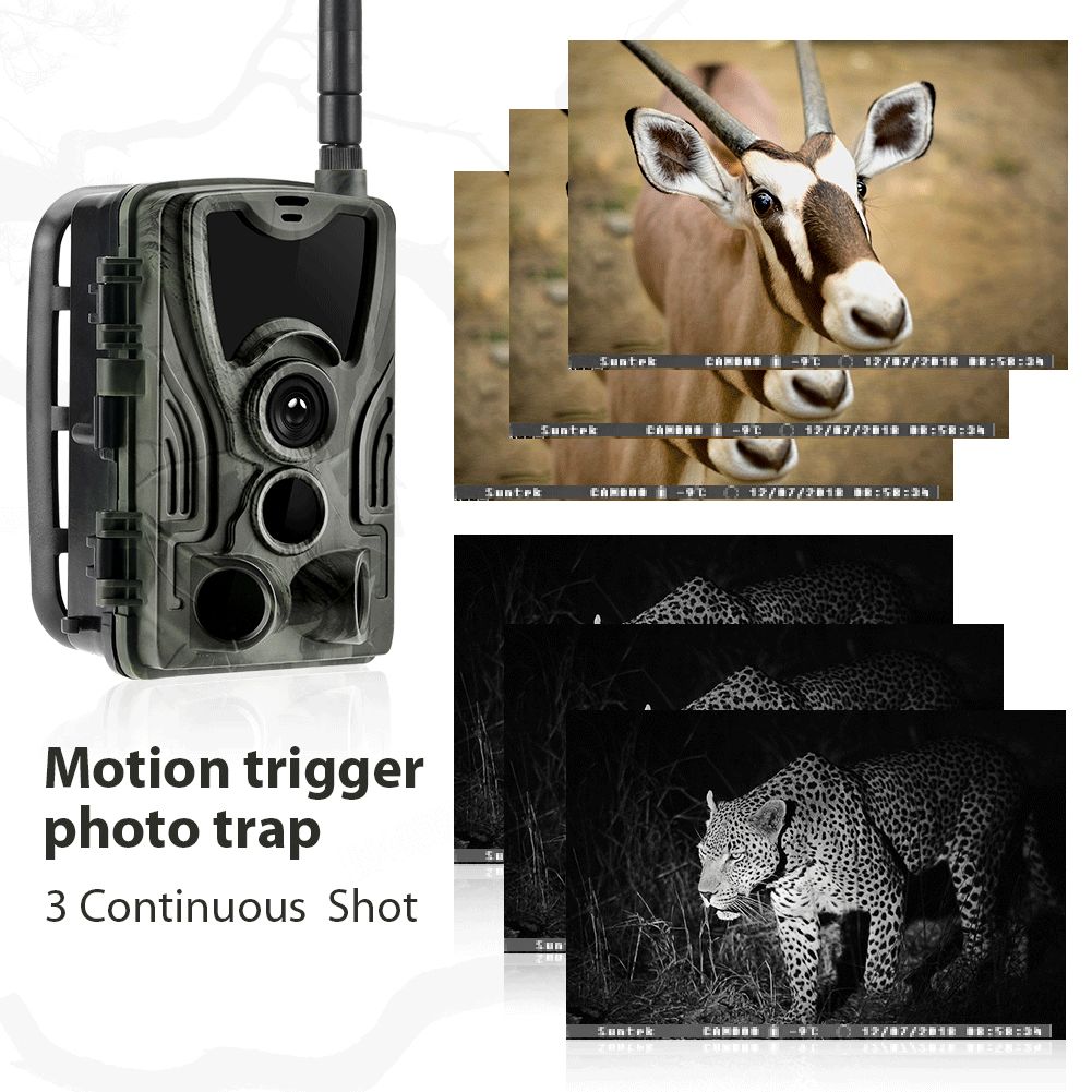 HC801M Wildkamera 20MP 1080P Nachtsicht perfekt für Wildtierfotografie und Tierverfolgung