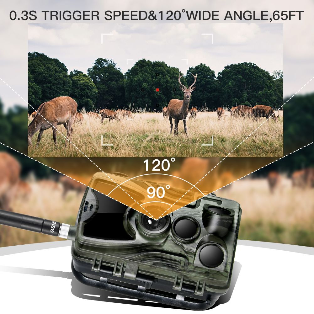 HC801M Wildkamera 20MP 1080P Nachtsicht perfekt für Wildtierfotografie und Tierverfolgung