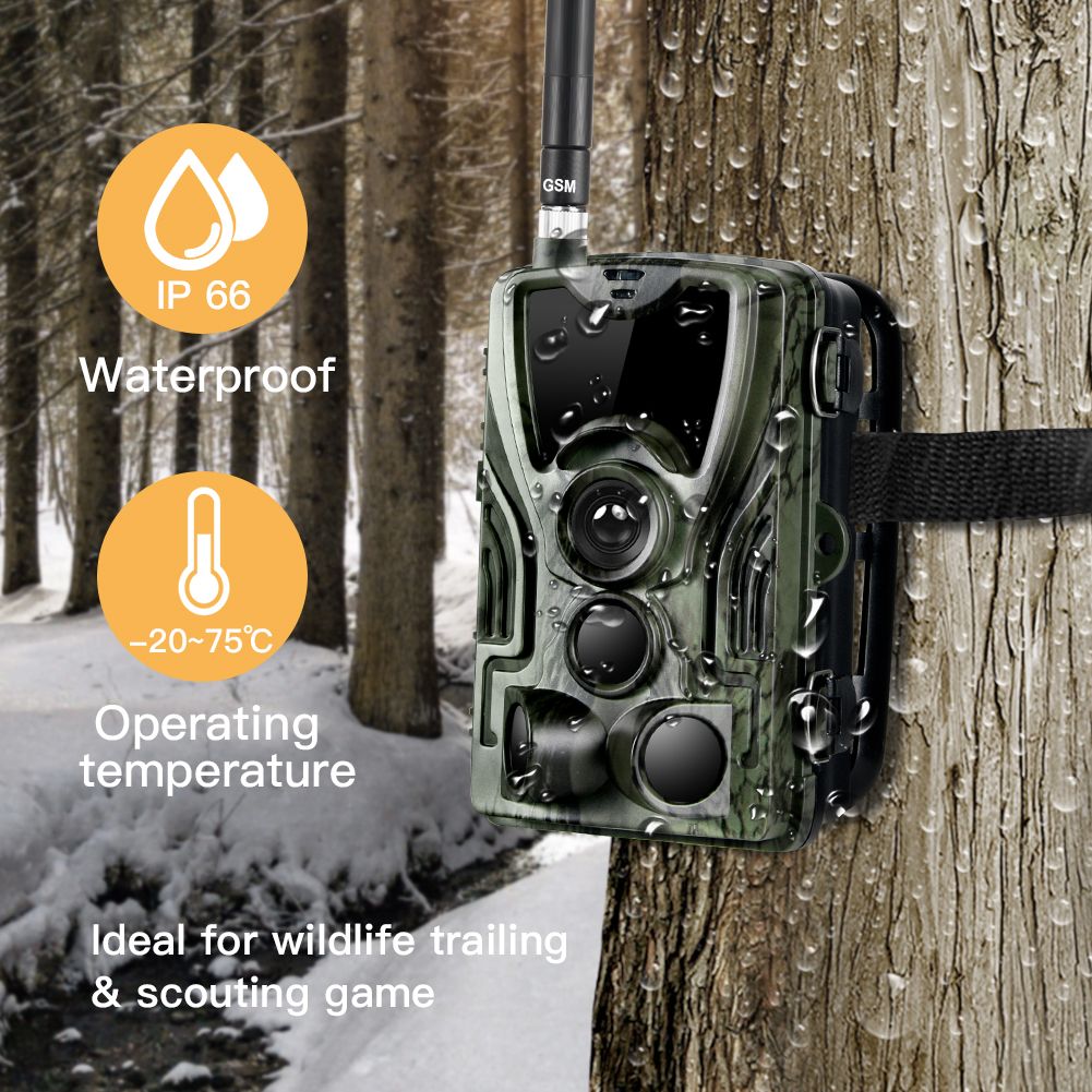 HC801M Wildkamera 20MP 1080P Nachtsicht perfekt für Wildtierfotografie und Tierverfolgung