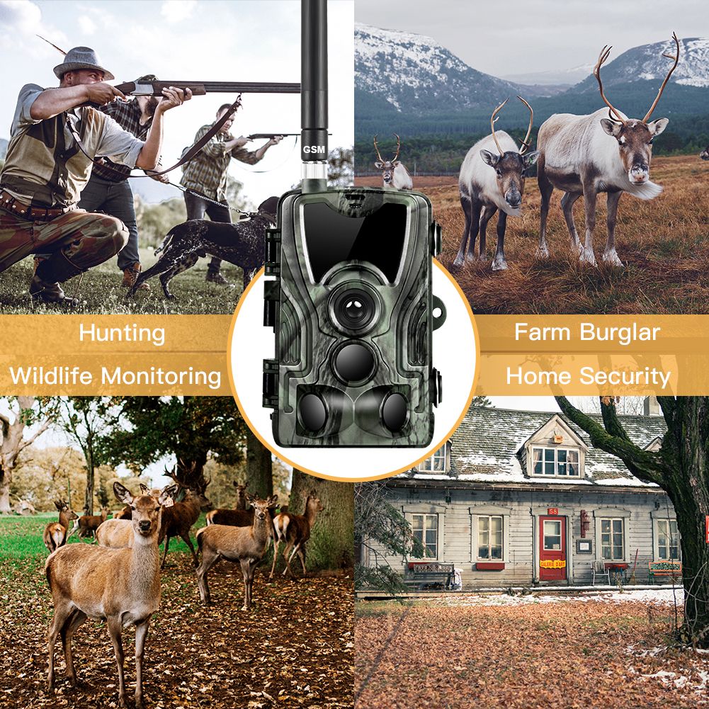 HC801M Wildkamera 20MP 1080P Nachtsicht perfekt für Wildtierfotografie und Tierverfolgung