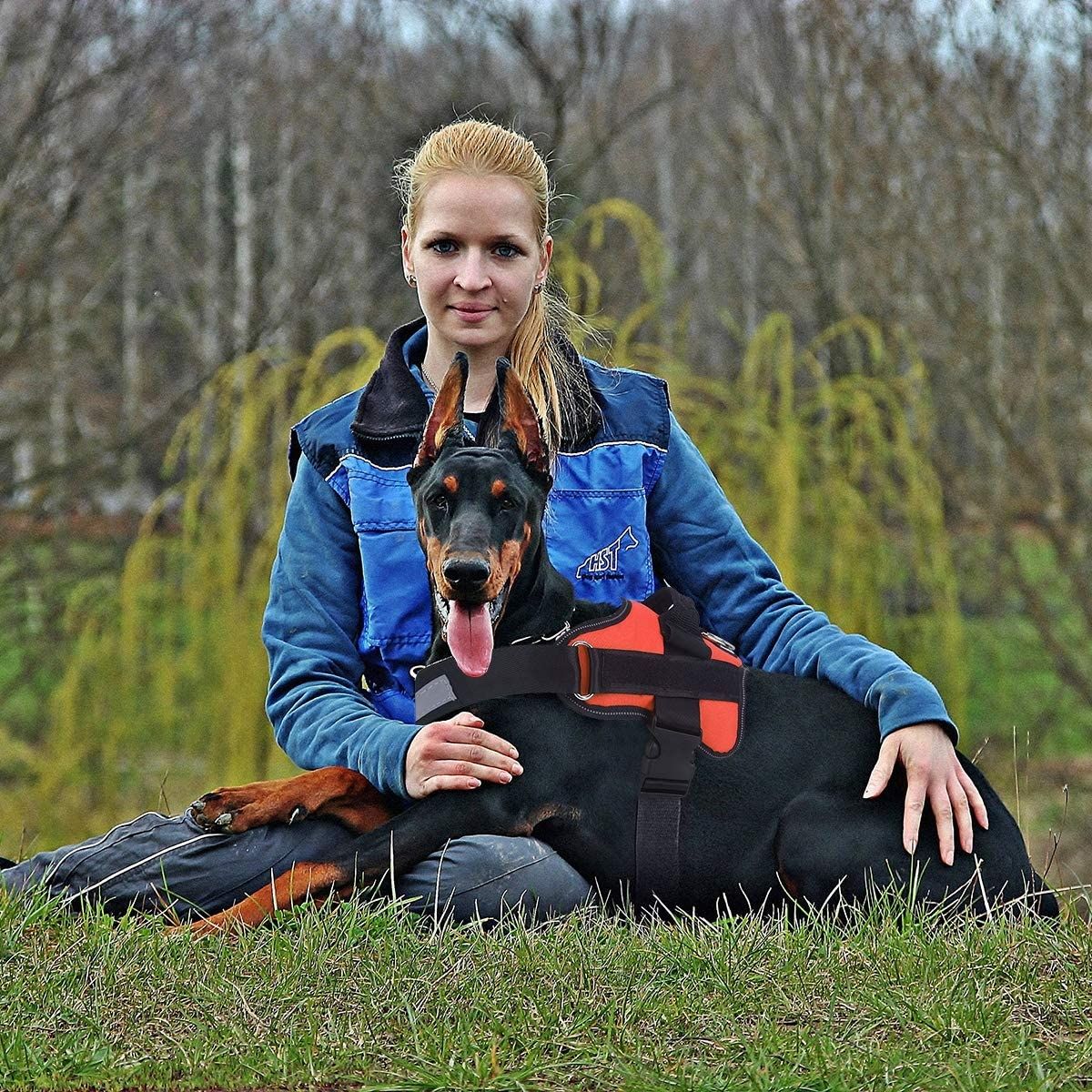 Zugfreie, reflektierende Hundeweste mit Griff und verstellbarem Geschirr für mittelgroße Rassen – bequemes Spaziergangszubehör.