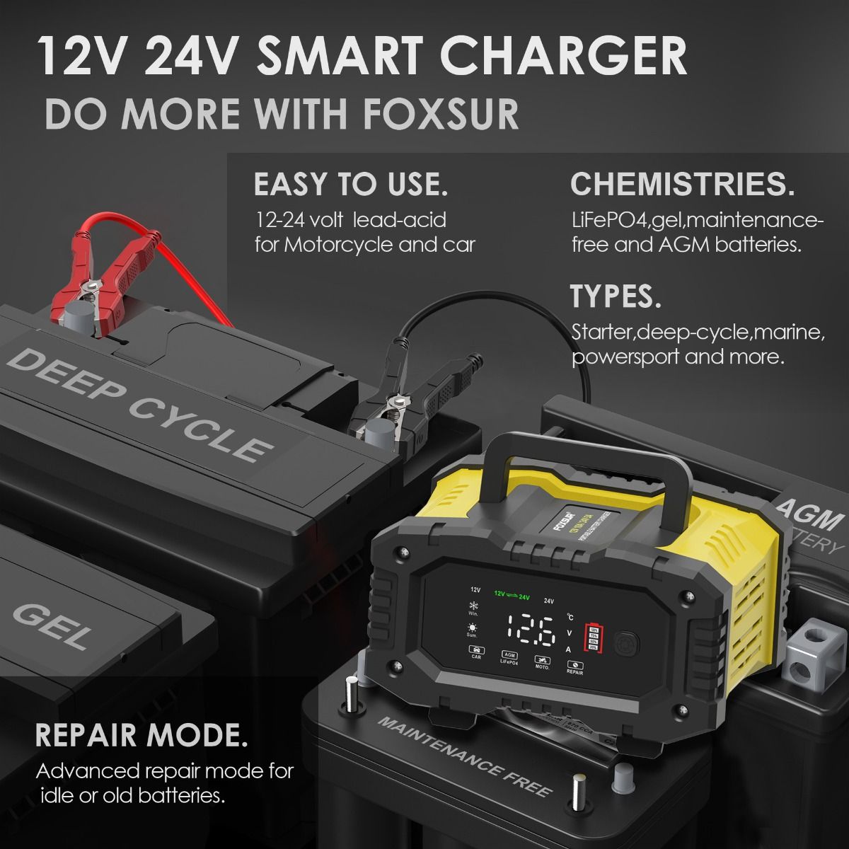FOXSUR Tragbares Autobatterieladegerät 12V 24V Vielseitiges Ladegerät für AGM LiFePO4 Blei-Säure Motorrad LKW