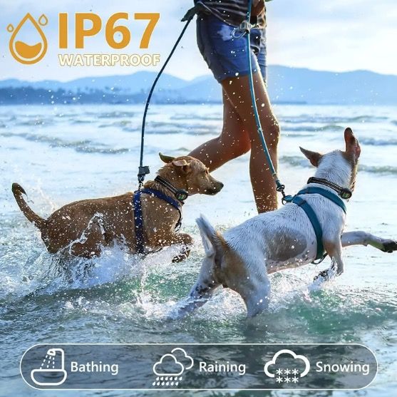 Intelligentes automatisches Anti-Bell-Halsband für Hunde, wiederaufladbar, mit intelligenter Bell-Erkennung – humane Lösung