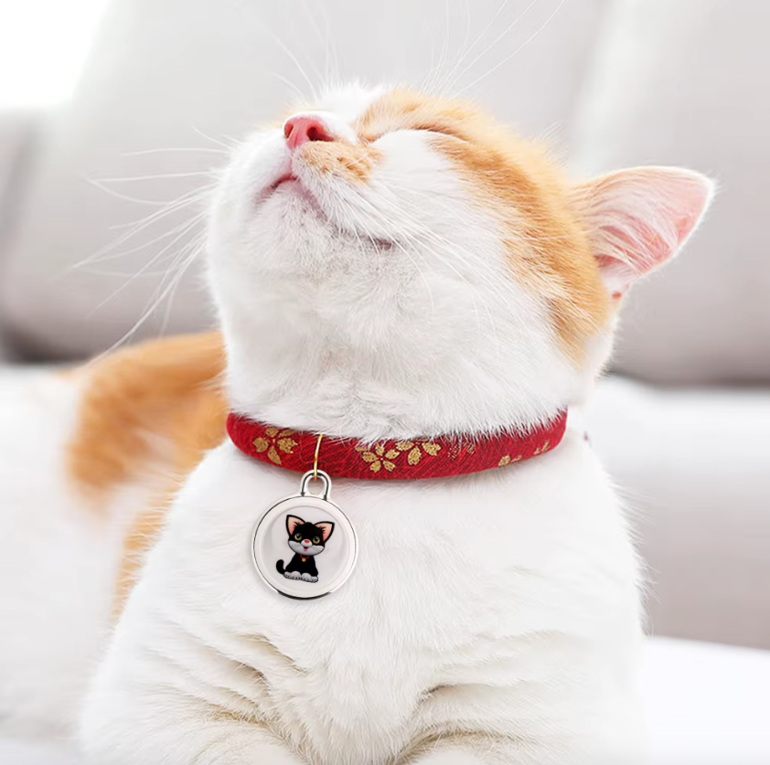 Innovativer Hundetracker Airtag-Hundehalsband Echtzeit-Standort Bluetooth-Tracking Haustierbesitzer-Essentials
