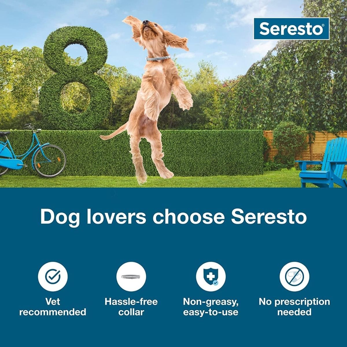 Seresto Halsband für große Hunde – tierärztlich empfohlen – Floh- und Zeckenschutz und -vorbeugung – 8 Monate Schutz
