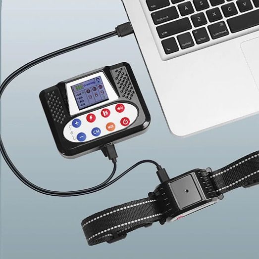 Haustier Drahtloser Elektronischer Zaun Intelligentes Hunde-Trainingsgerät Zwei-in-Eins Ergonomisches Anti-Bell-Halsband 2025